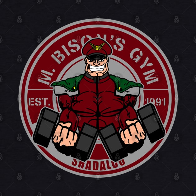 M Bison's gym by carloj1956